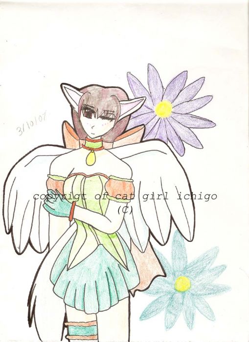 Entery For Ttmchicas Contest