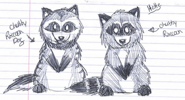 Raccoon And A Raccoon Dog