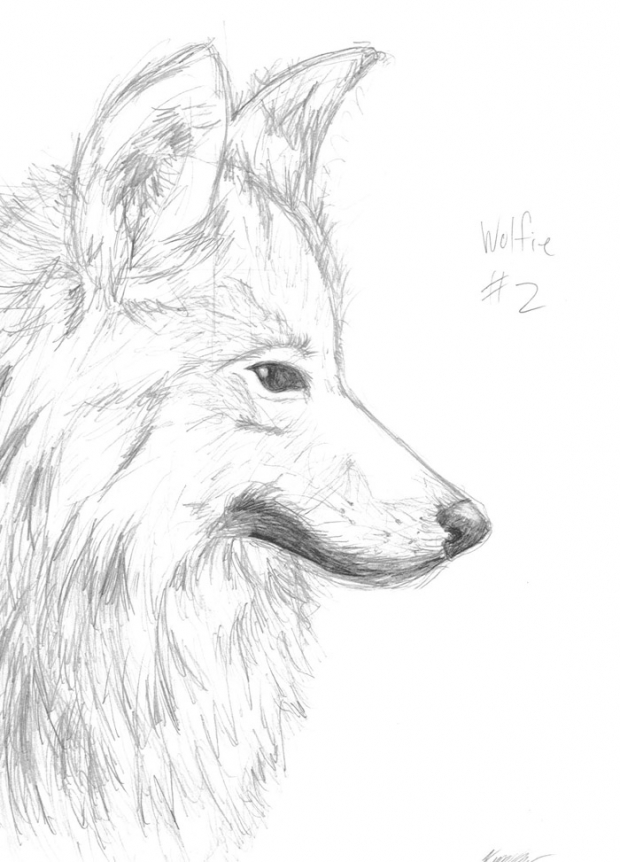 Wolfie #2
