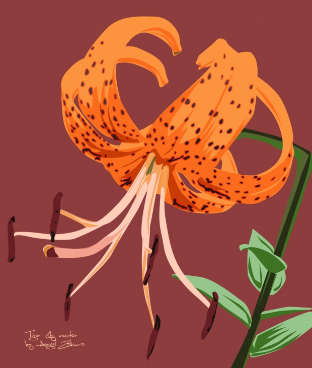 tiger lily.