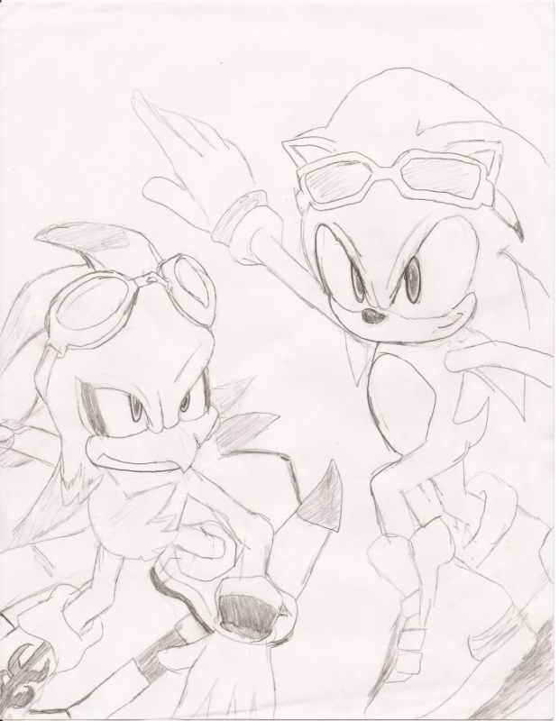 Sonic And Jet From Sonic Riders