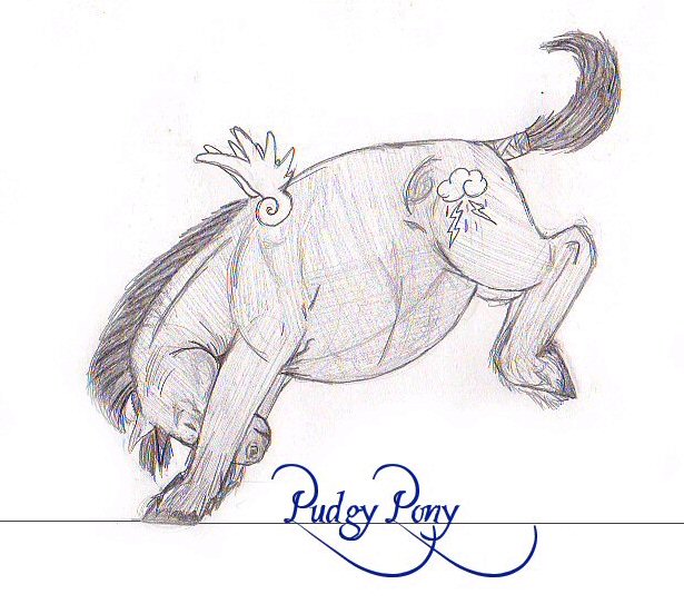 Pudgy Pony