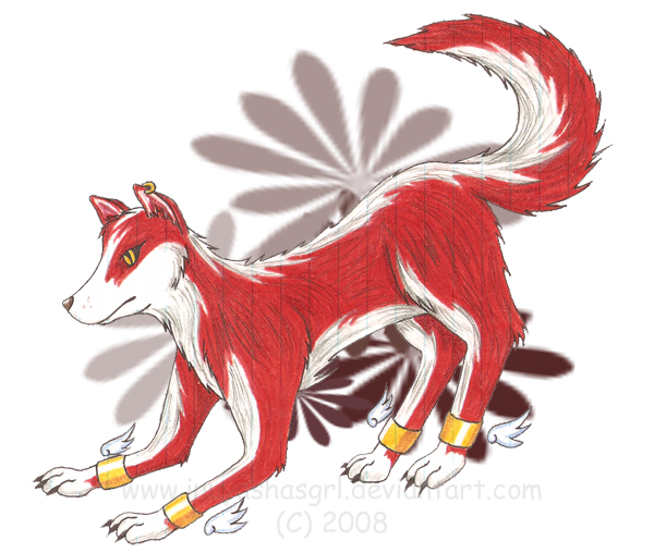 Husky - Wolf