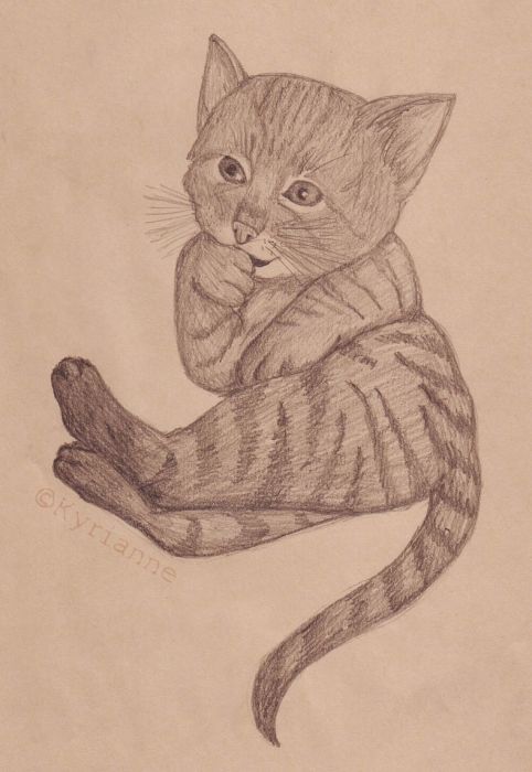 Neko - A Sketch Done In School