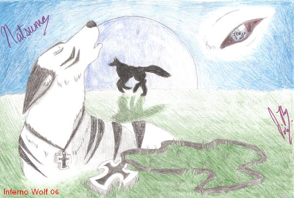 **gift For Natsume.the.wolf**