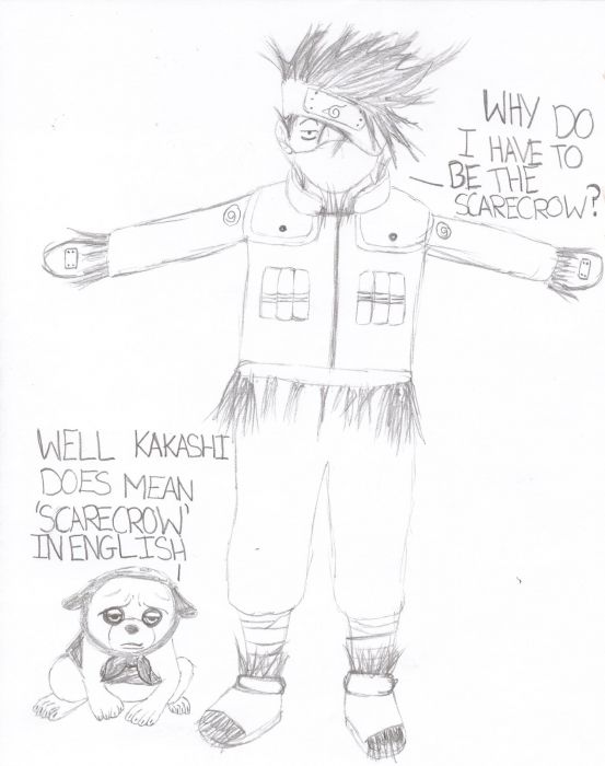 Funny Naruto Contest Kakashi