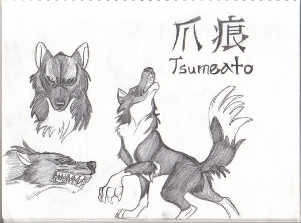 My Wolf Sister Tsumeato