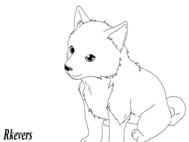 Wolf/dog Line Art