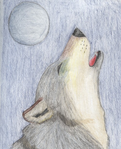 Request For White Moon Wolf