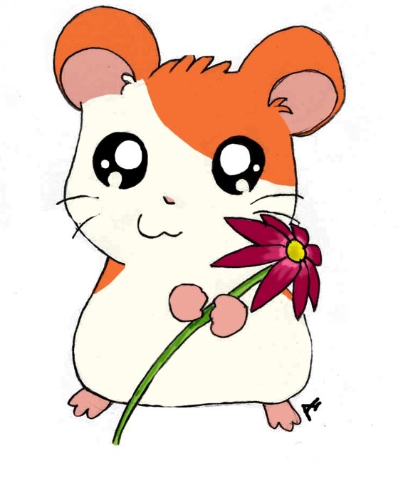 Hamtaro Accompanied By A Flower