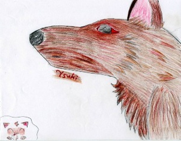 First Wolf Pic And Mixing Colors