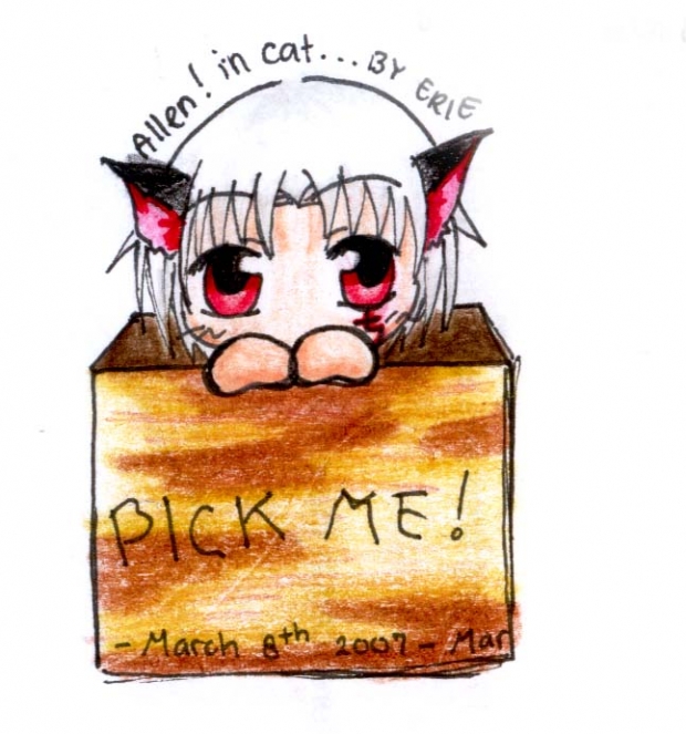 Allen In Cat Version!!