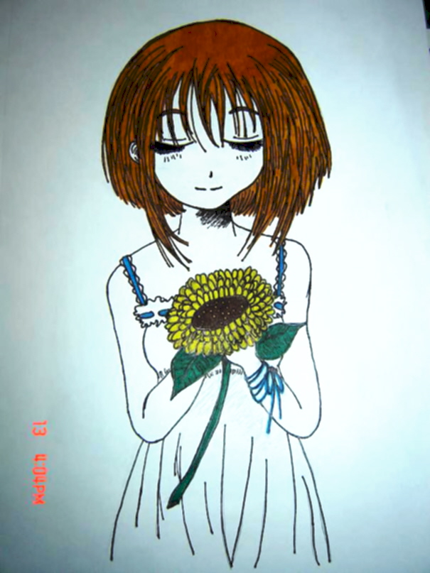 Sunflower Kisa
