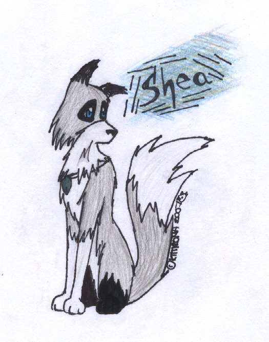 Shea: My Wolf