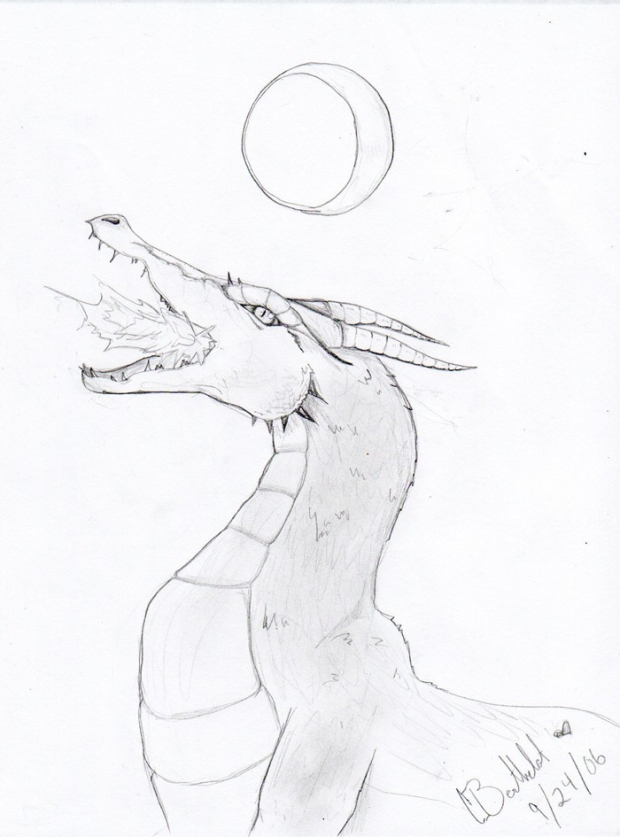 A Dragon