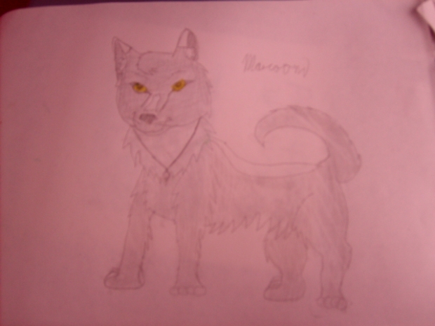 Maroon, My Wolf Form