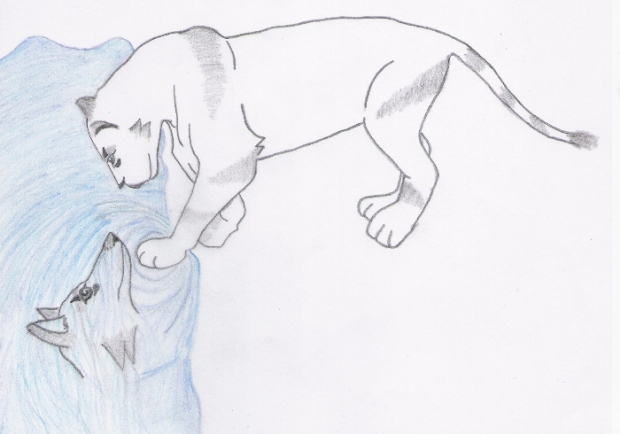Tiger/wolf Sketch