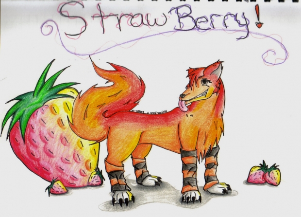 Strawberry the wolf art trade