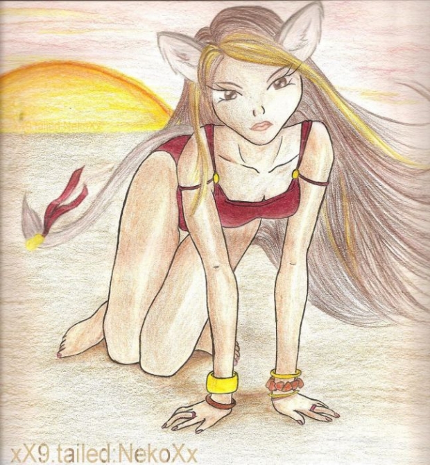 Sunset Neko