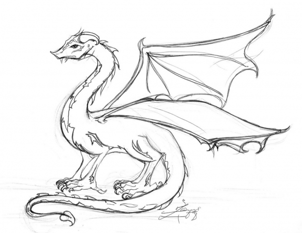 Dragon (Ink Sketch)