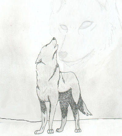 Just A Scetch Of A Wolf
