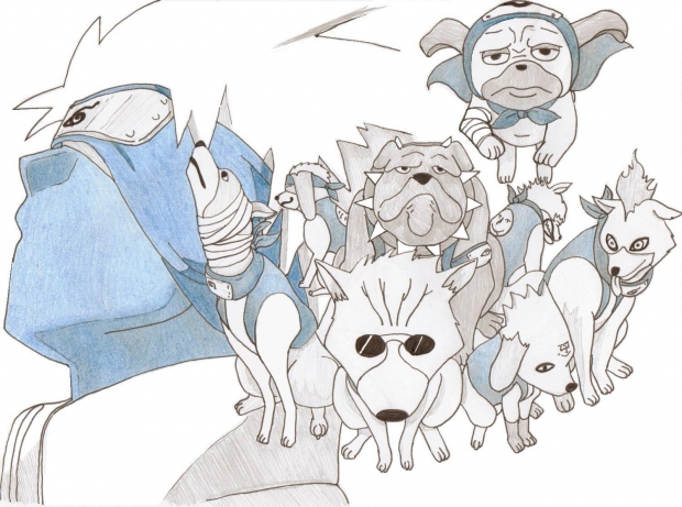 Kakashi and his pack