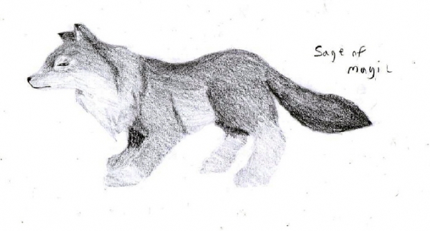 Shaded Wolf