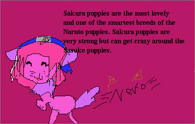 Sakura Puppy