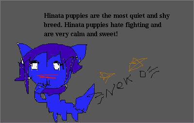 Hinata Puppy