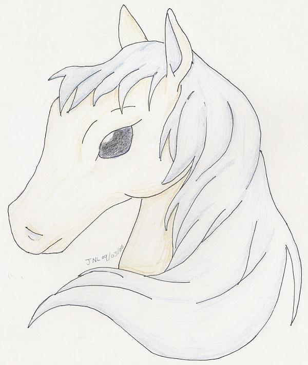 A Pretty Pony.