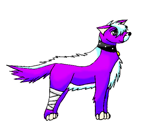 First Wolfie-colored!