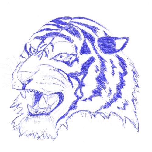 Pen Sketch Tiger