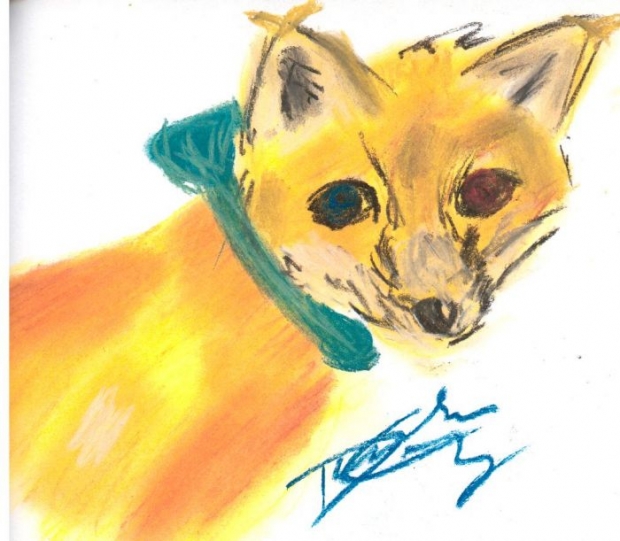 Jagon Fox