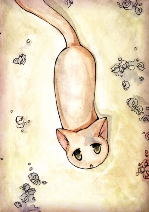 Sad Kitty! ( For Simpleplanluver)