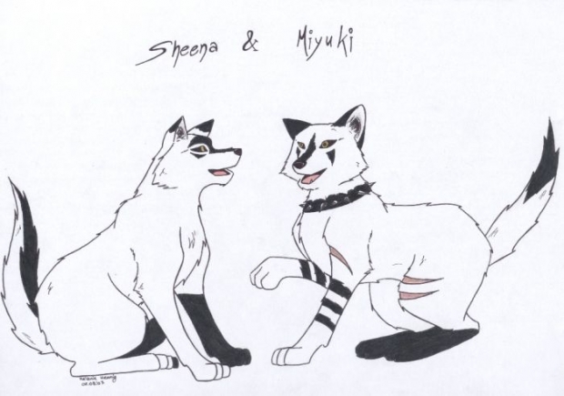 Sheena & Miyuki For Fullmoonwolf98