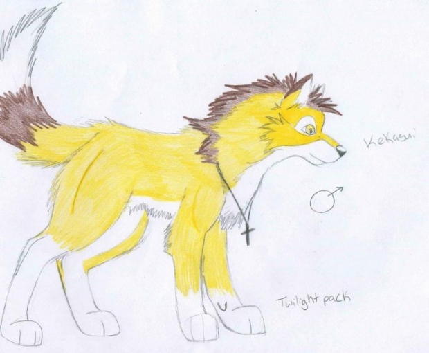 Kekasui Of The Twilight Pack