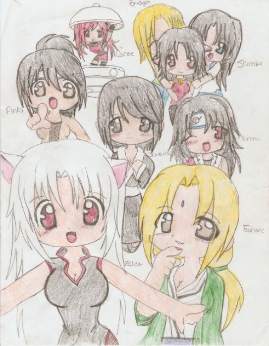 Zelda And The Female Jounin