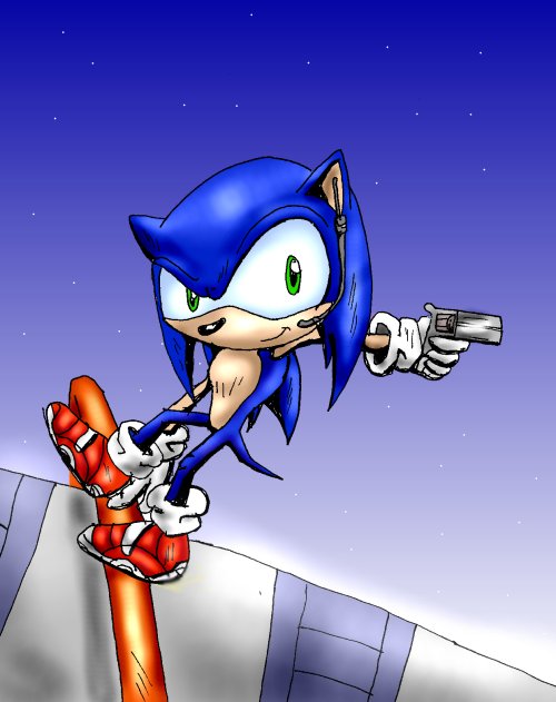 Sonic With A Gun