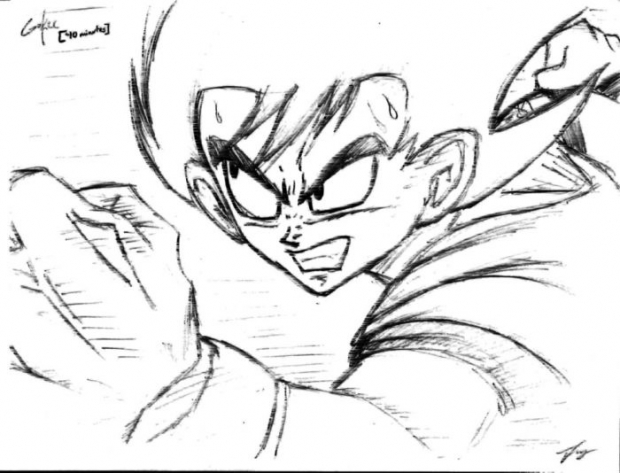 Goku En 40 Minutos