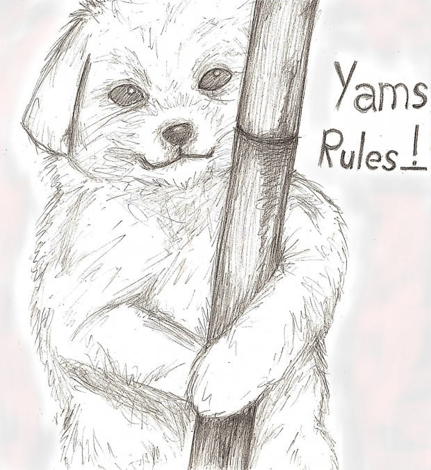 Yams Puppy