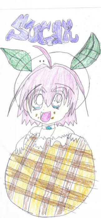 Sugar, Spice, And Everything Nice