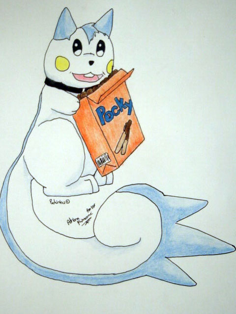 Pocky The Pachirisu