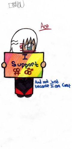 Supporting Gays...