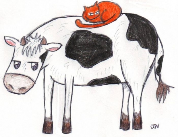 Cow And Cat