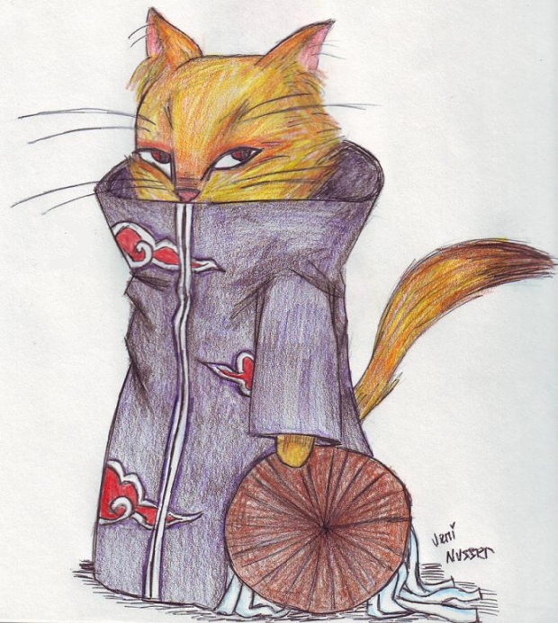 A Cat In An Akatsuki Robe