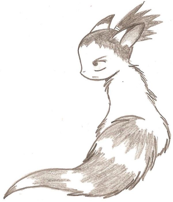 Shikamaru Raccoon