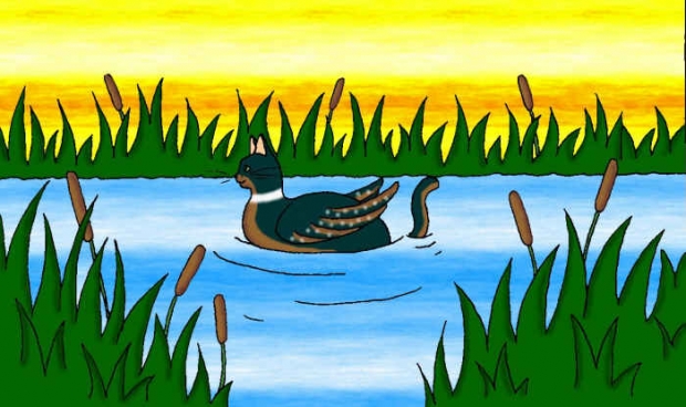 North American Water Cat