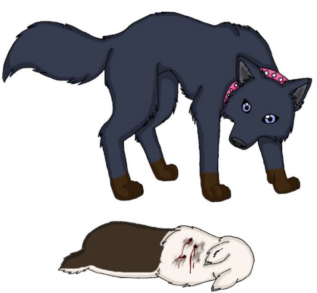 Request For Brokendreamswolf