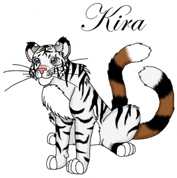 Kira Art Trade