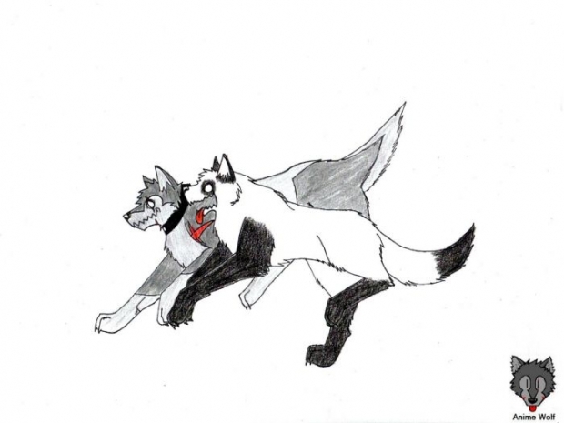 Tifa Request - Us Crazy Losers Xp